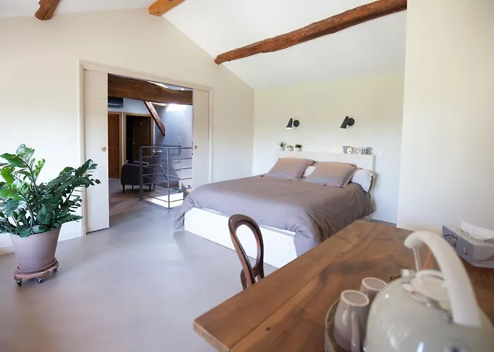 Le Relais De La Godasse Bed & Breakfast Reyrieux